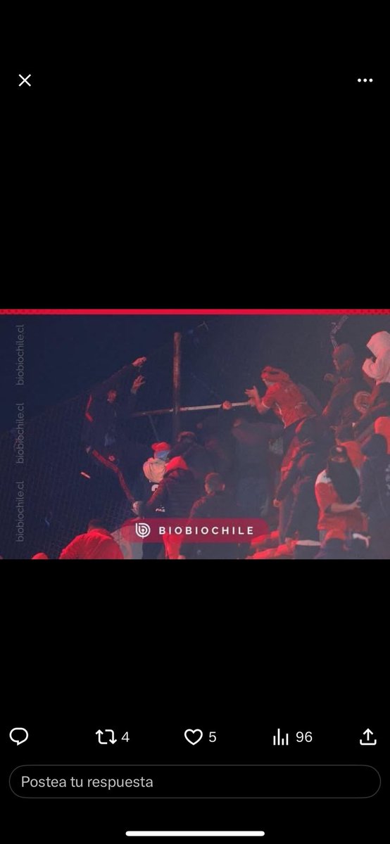 S🇨🇱 tweet media