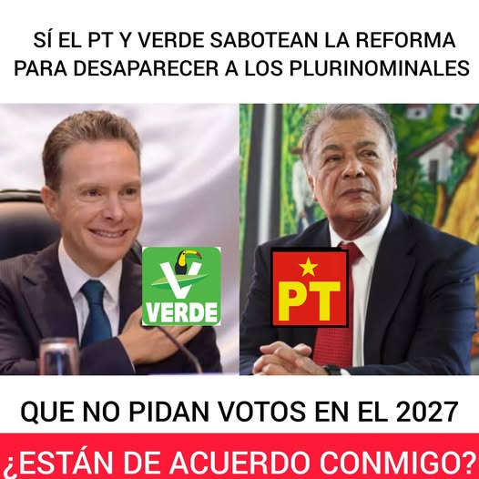 Miguel Angel Pelayo tweet media