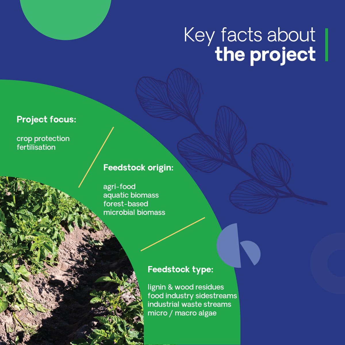 Each year, up to 40% of global food crops are lost to pests &amp; diseases. Farmers often rely on chemical pesticides. The CBE JU-funded CROPSAFE Project is creating #biobased alternatives that protect crops while safeguarding the environment: cbe.europa.eu/projects/crops…