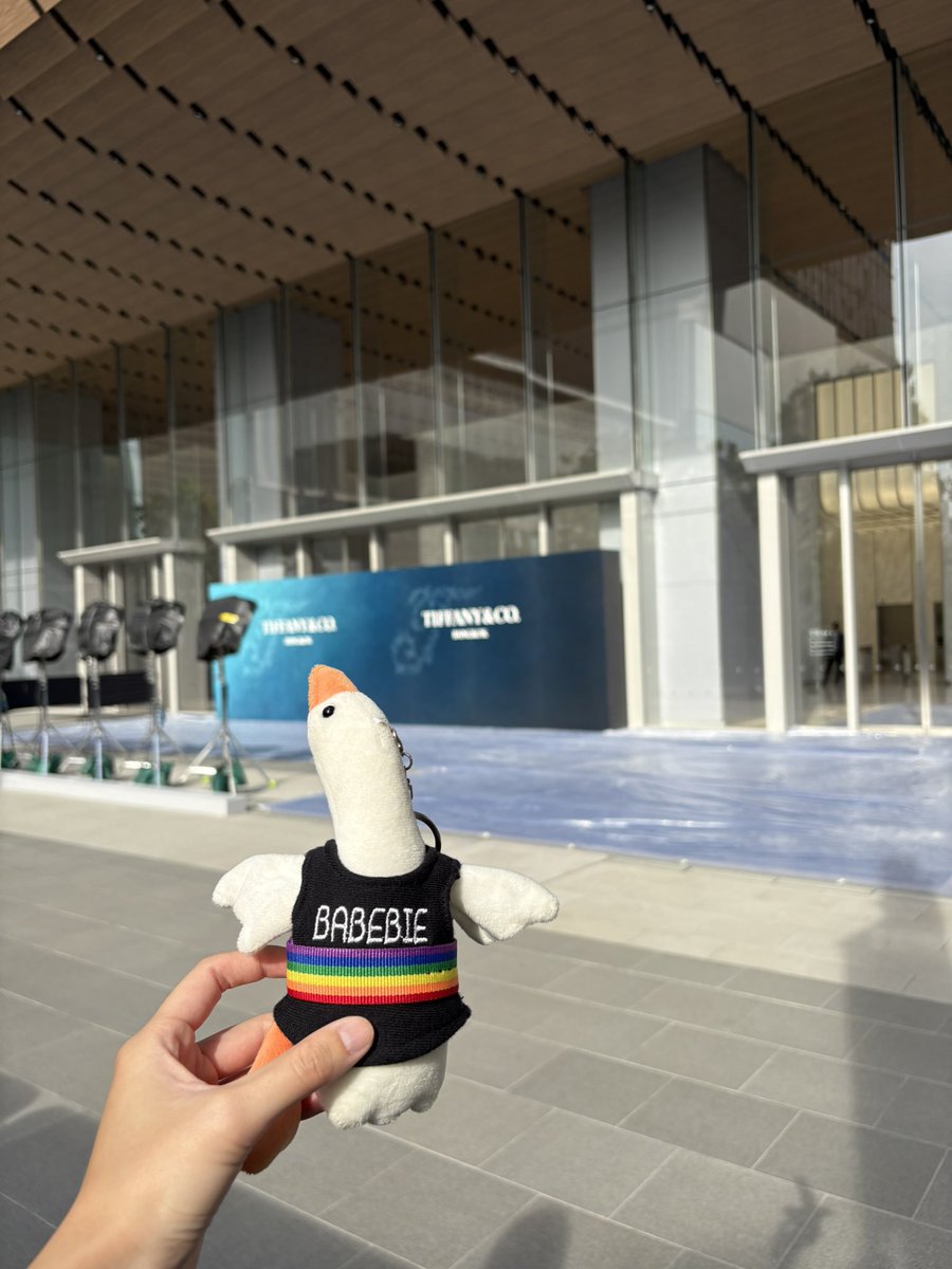 Captain19🪿 tweet media