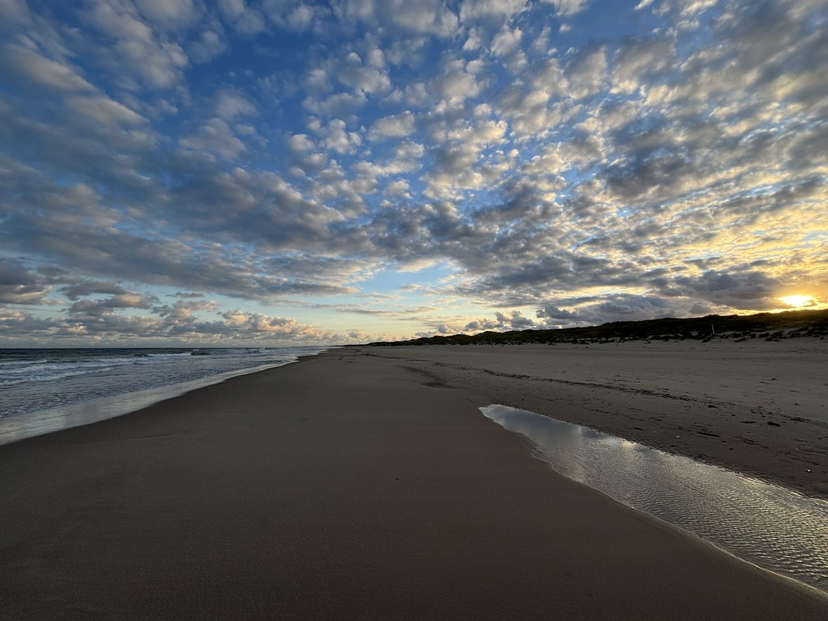 RRaadslid's tweet photo. Mooiste begin van de dag! Rennen op een vrijwel leeg strand! https://t.co/OybK6rYmlk