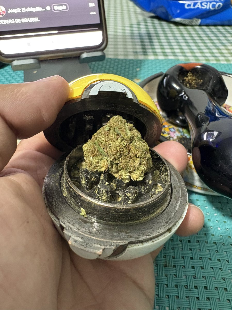 SeñorBigotes tweet media