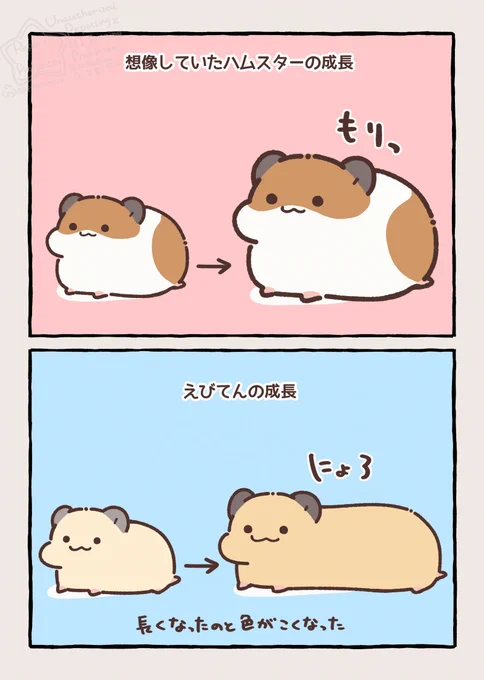 🍤えびてんが小さかった頃に描いた漫画たち🐹 