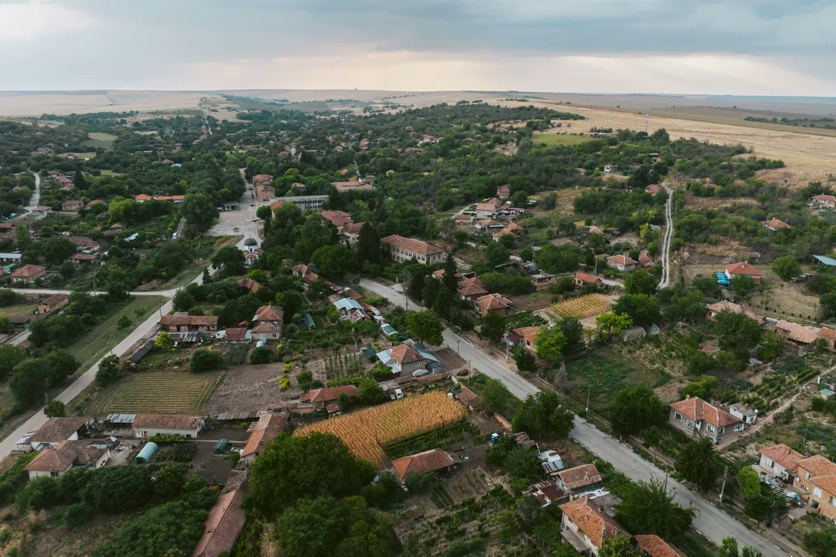 Zoe Schneeweiss tweet media