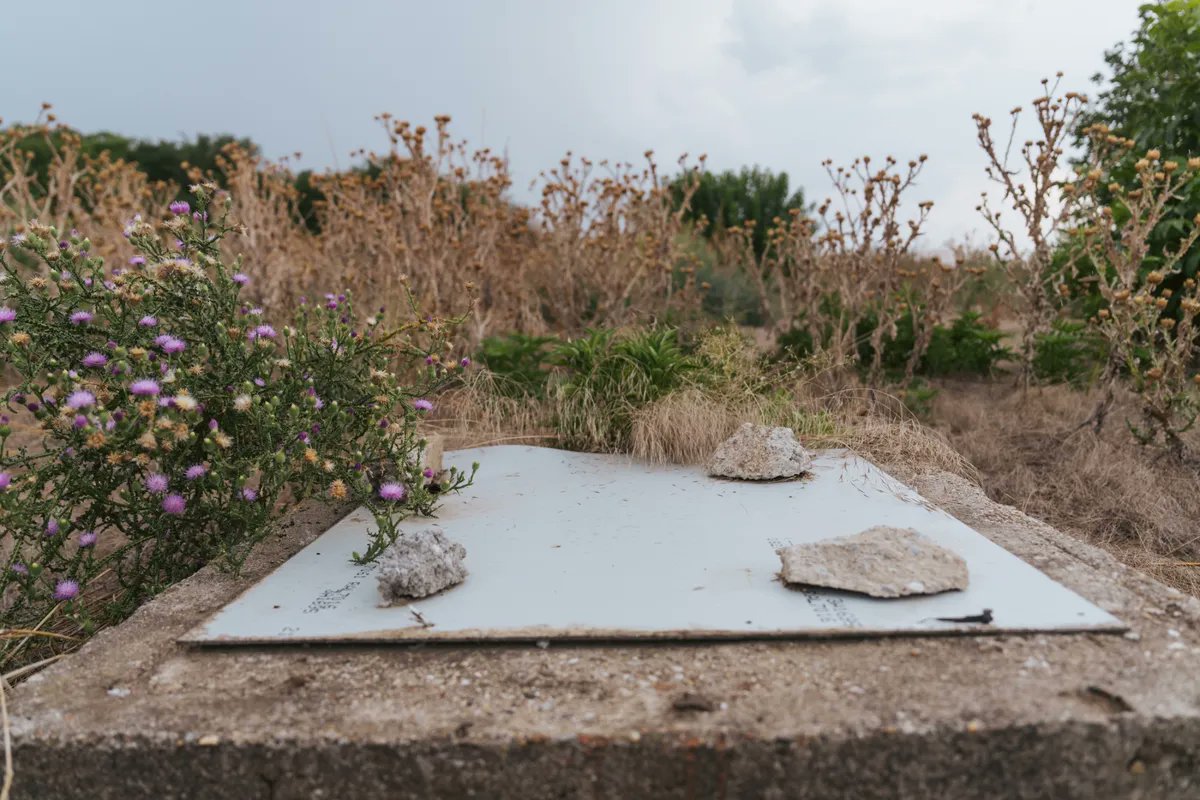 Zoe Schneeweiss tweet media