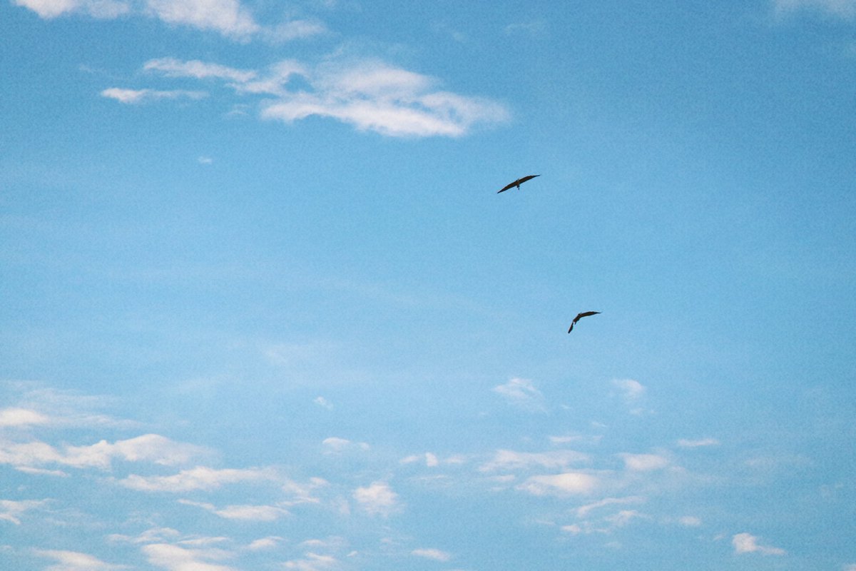 ggomi95's tweet photo. 짧은 휴식🏖 https://t.co/Rzn4GZjQ4Z