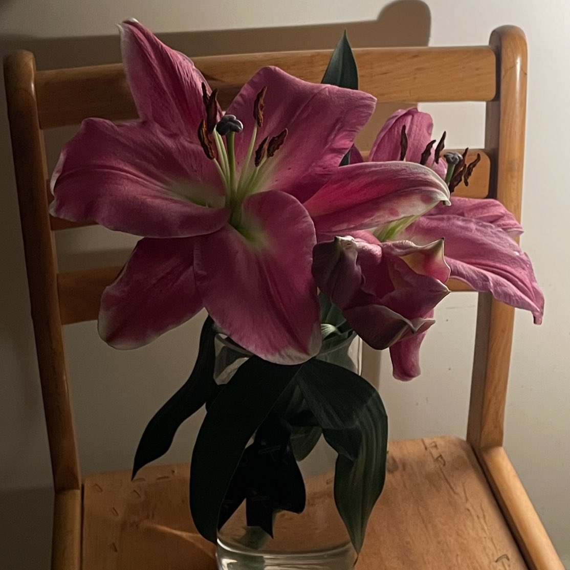 وجو 𐙚 (@wd09__) on Twitter photo 