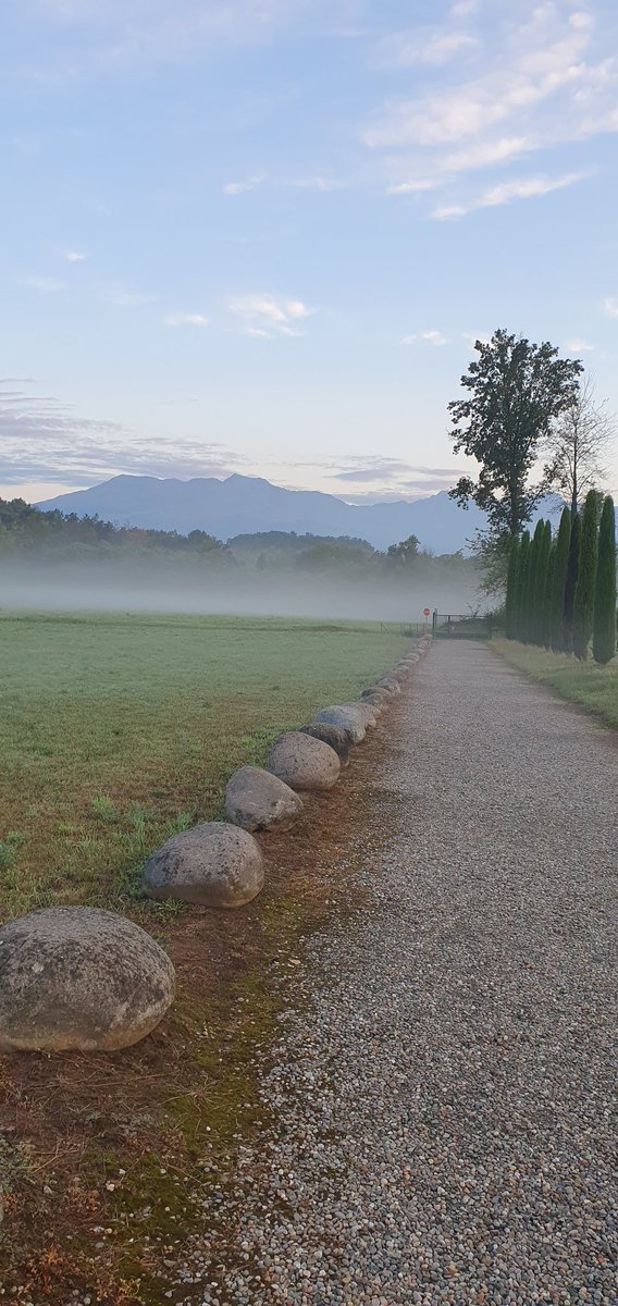 Bose, stamattina
