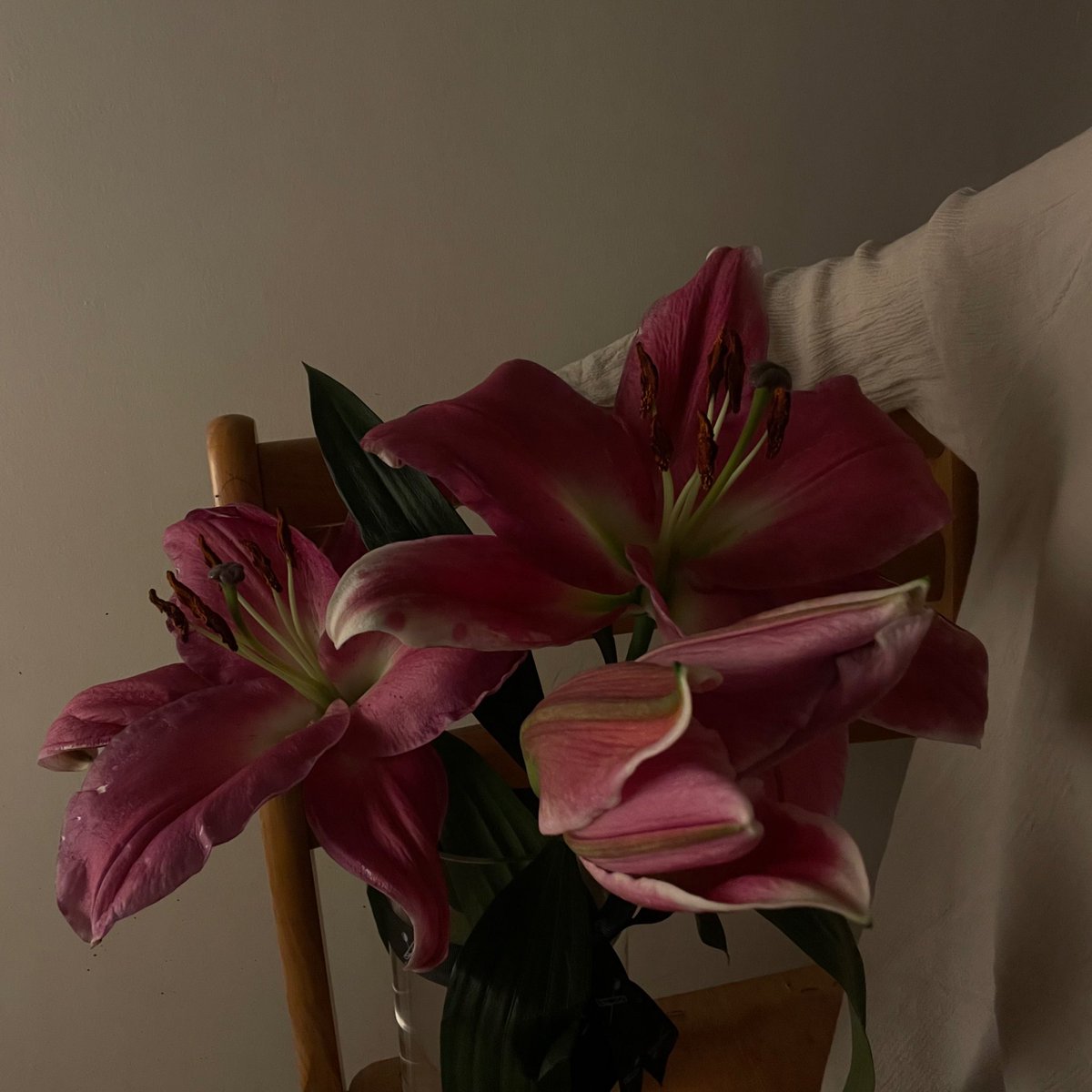 you're too full of life to be 
someone's maybe.