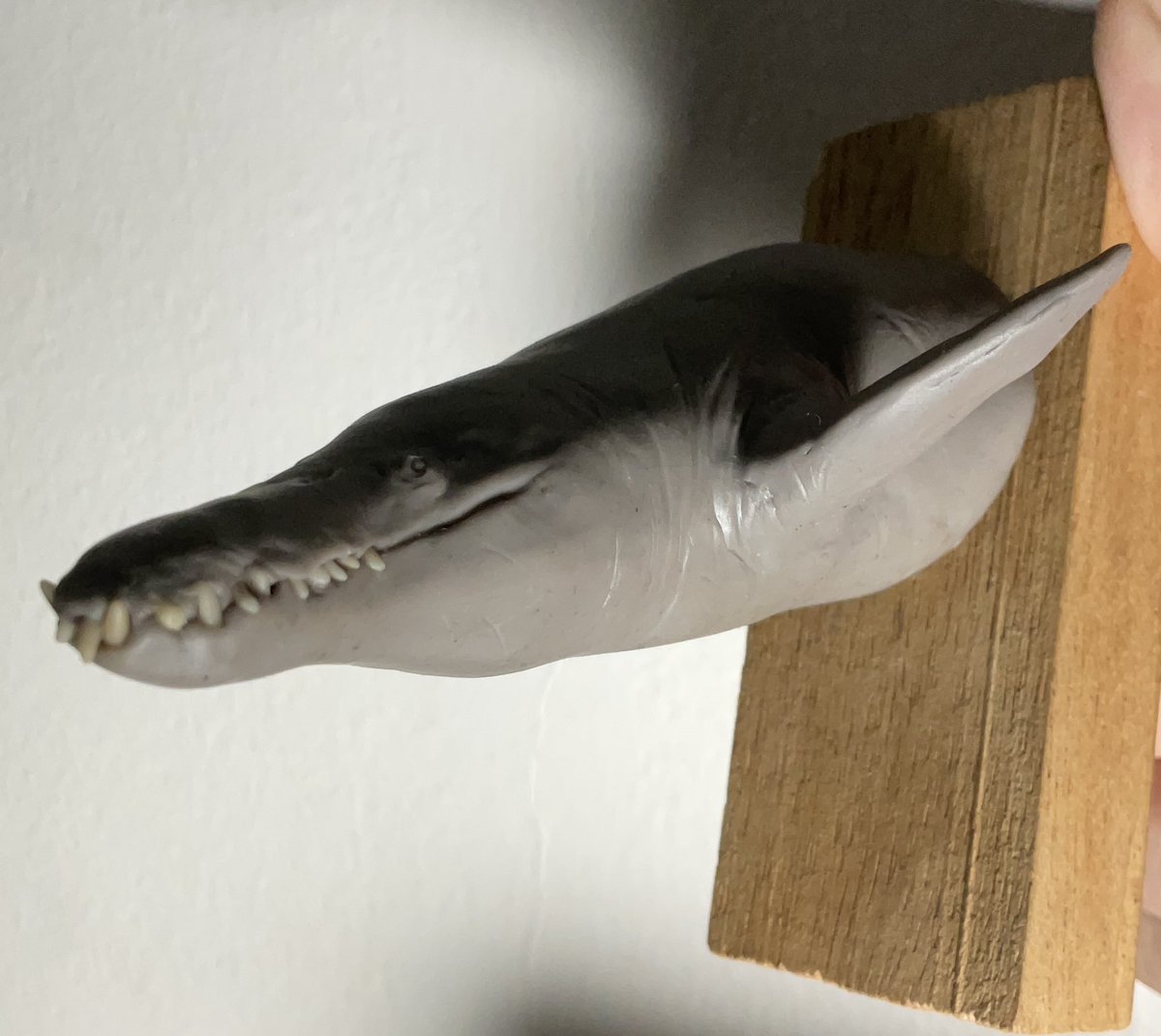 gus24034's tweet photo. Pliosaur model
Made a while ago 

造形 https://t.co/ME7w8yyozW
