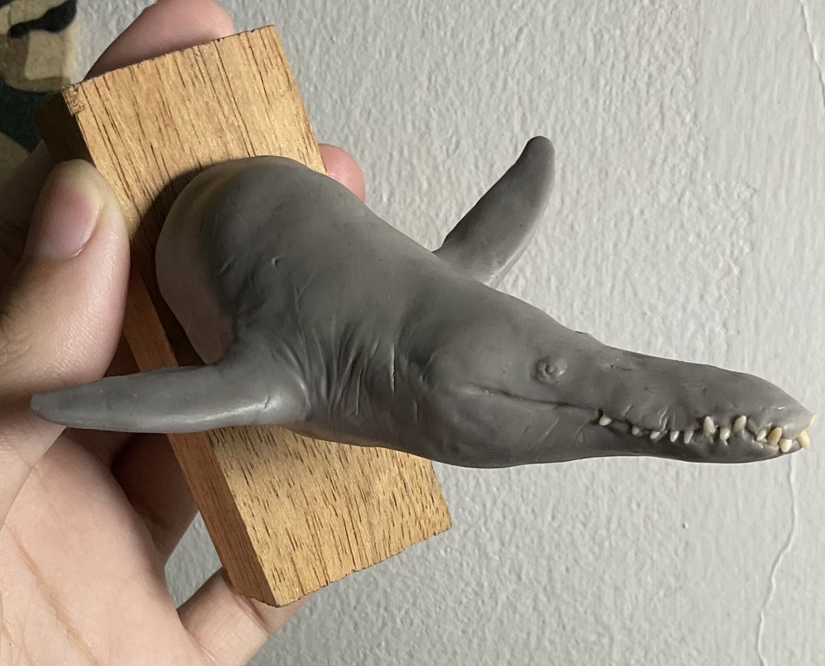 gus24034's tweet photo. Pliosaur model
Made a while ago 

造形 https://t.co/ME7w8yyozW