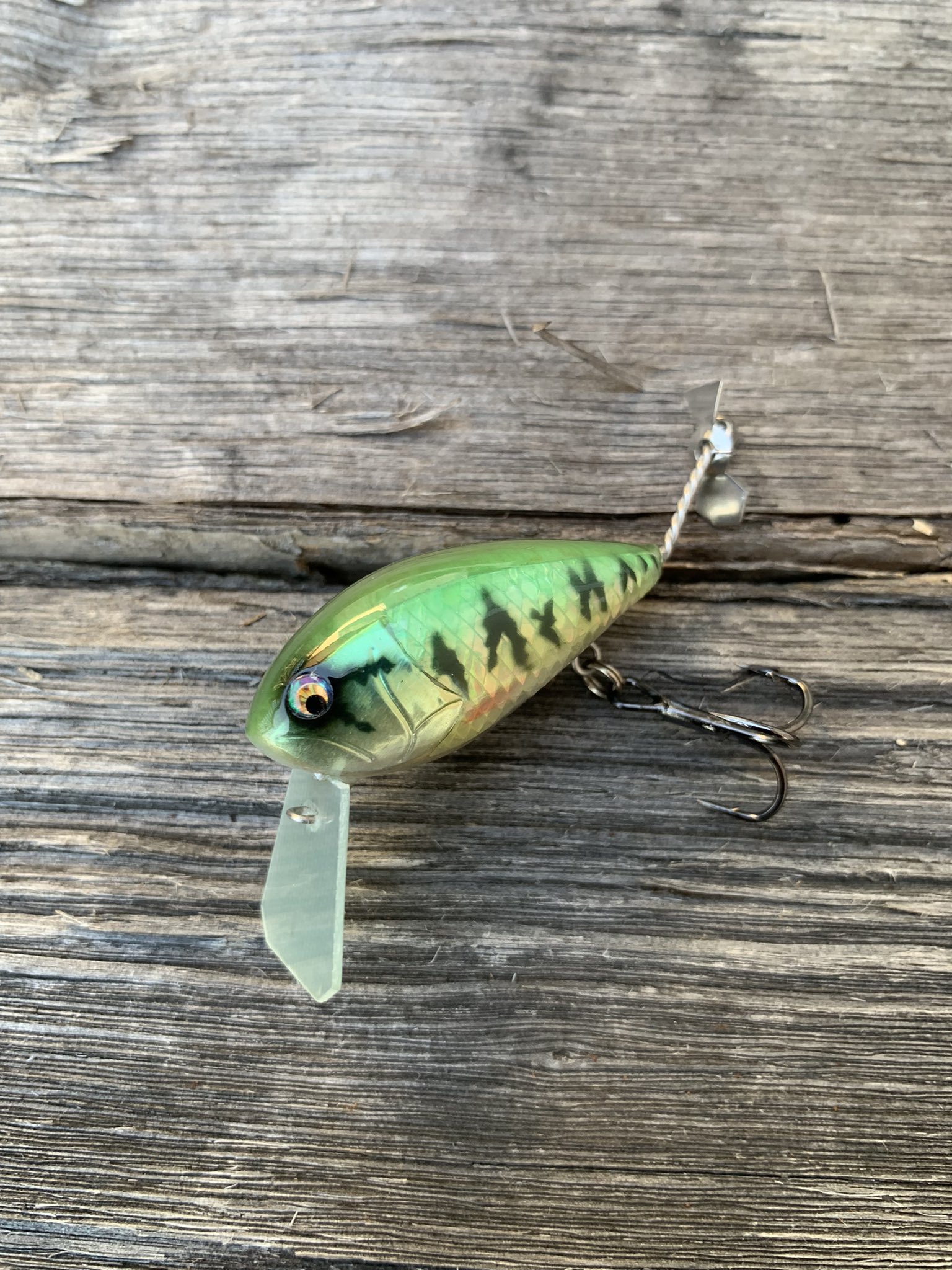 ジャンピングトマトルアーズ　セット ジャンピングトマトルアーズ セット Jumping Tomato Lures