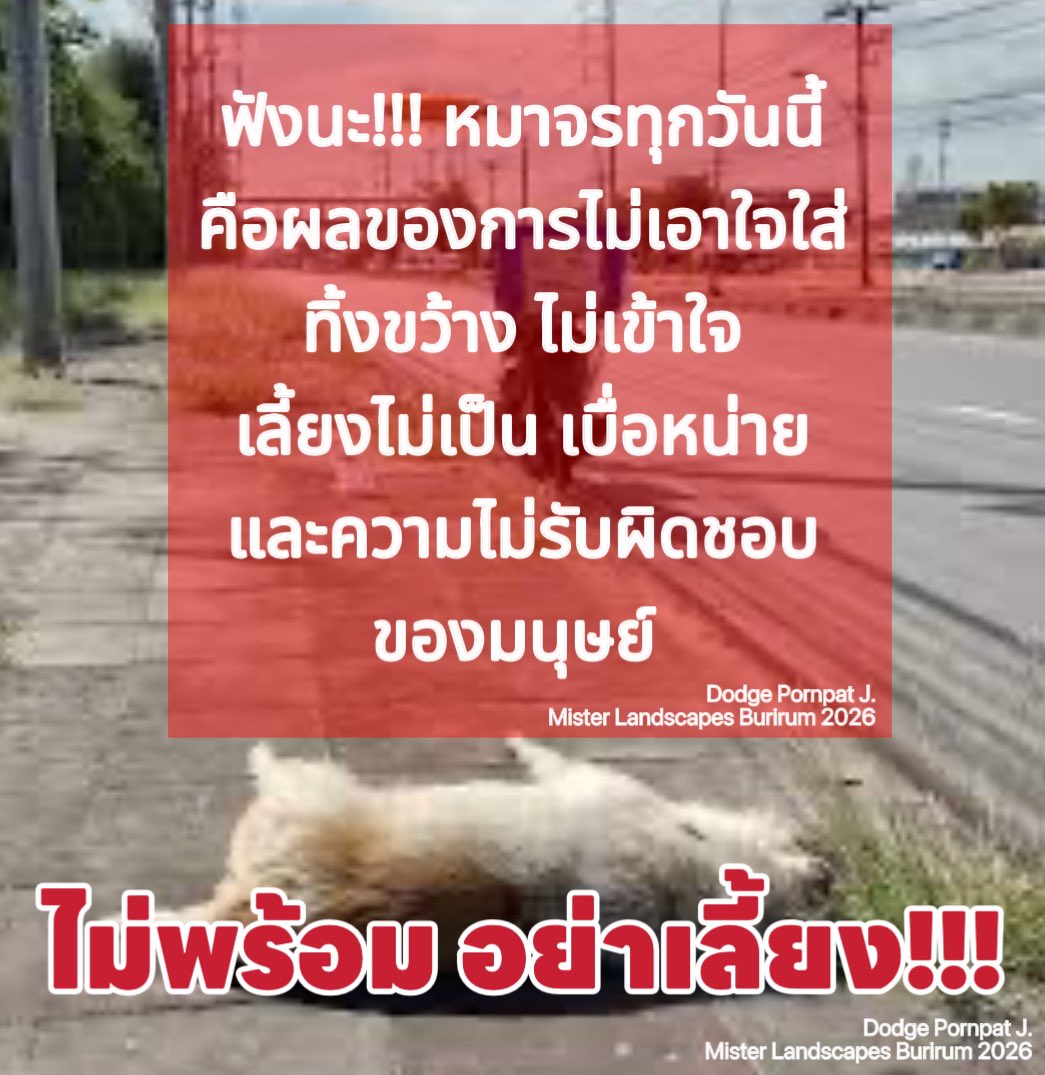 ฟังนะ หมาจรทุกวันนี้ คือผลจากเราไม่เอาใจใส่ ทิ้งขว้าง ไม่เข้าใจ เลี้ยงไม่เป็น เบื่อหน่าย และความไม่รับผิดชอบ ของมนุษย์ ก่อนจะคิดตีเค้า ทำร้ายเค้าคิดนิดนึงว่าเค้าเคยมีบ้าน เคยมีครอบครัว เคยได้รับความอบอุ่น ถ้าเราไปเป็นหมาจร เราจะทนได้เท่าเค้ามั๊ย?? 
#misterlandscapesburirum2026