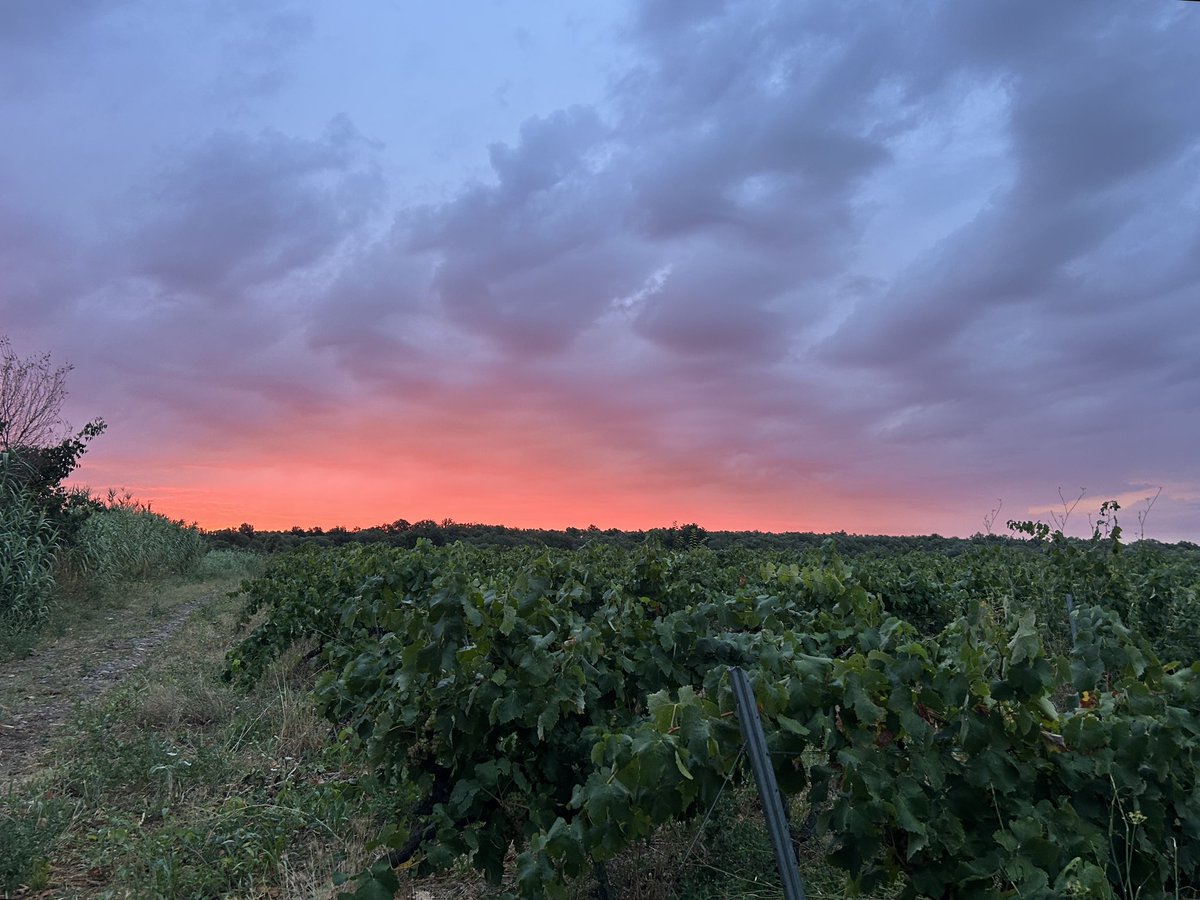 ntorren3's tweet photo. Bon dia #santclimentsescebes @EmpordaLovers @gemmapuigf @nestor_meteo @alcantara_alb @AlfredRPico @TomasMolinaB @Monica_Usart @jjanue @SergiLoras @SoniaPapell @Cat_Meteo  @eltempsTV3 @linformatiu_tve @eloicordomi @MeteoEmporda @enricagud https://t.co/HRdBus6yRO