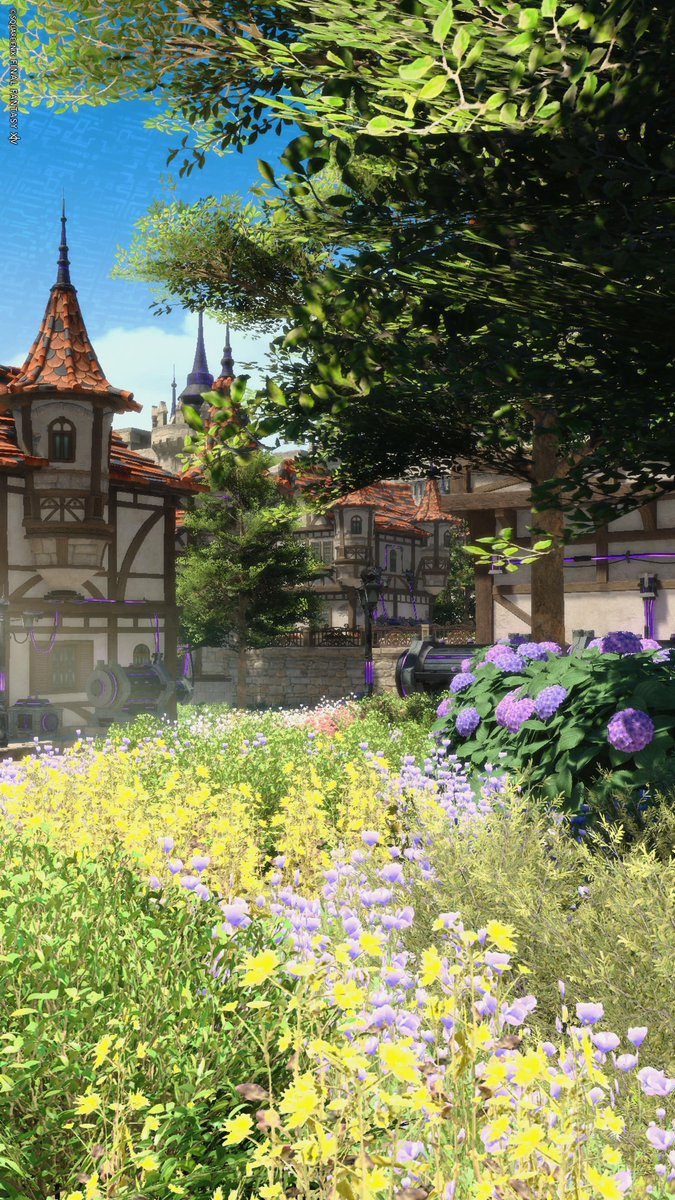 🏡🏘️🌱🌼

#FF14風景