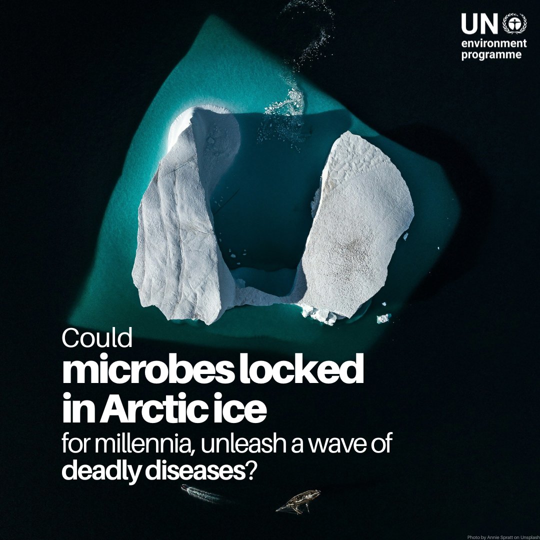 As climate change rapidly warms the Arctic, researchers raise concerns about the potential release of ancient microbes trapped in ice for millennia—posing threats to both human health and ecosystems.

Learn more about this chilling risk and the urgent need to tackle the climate