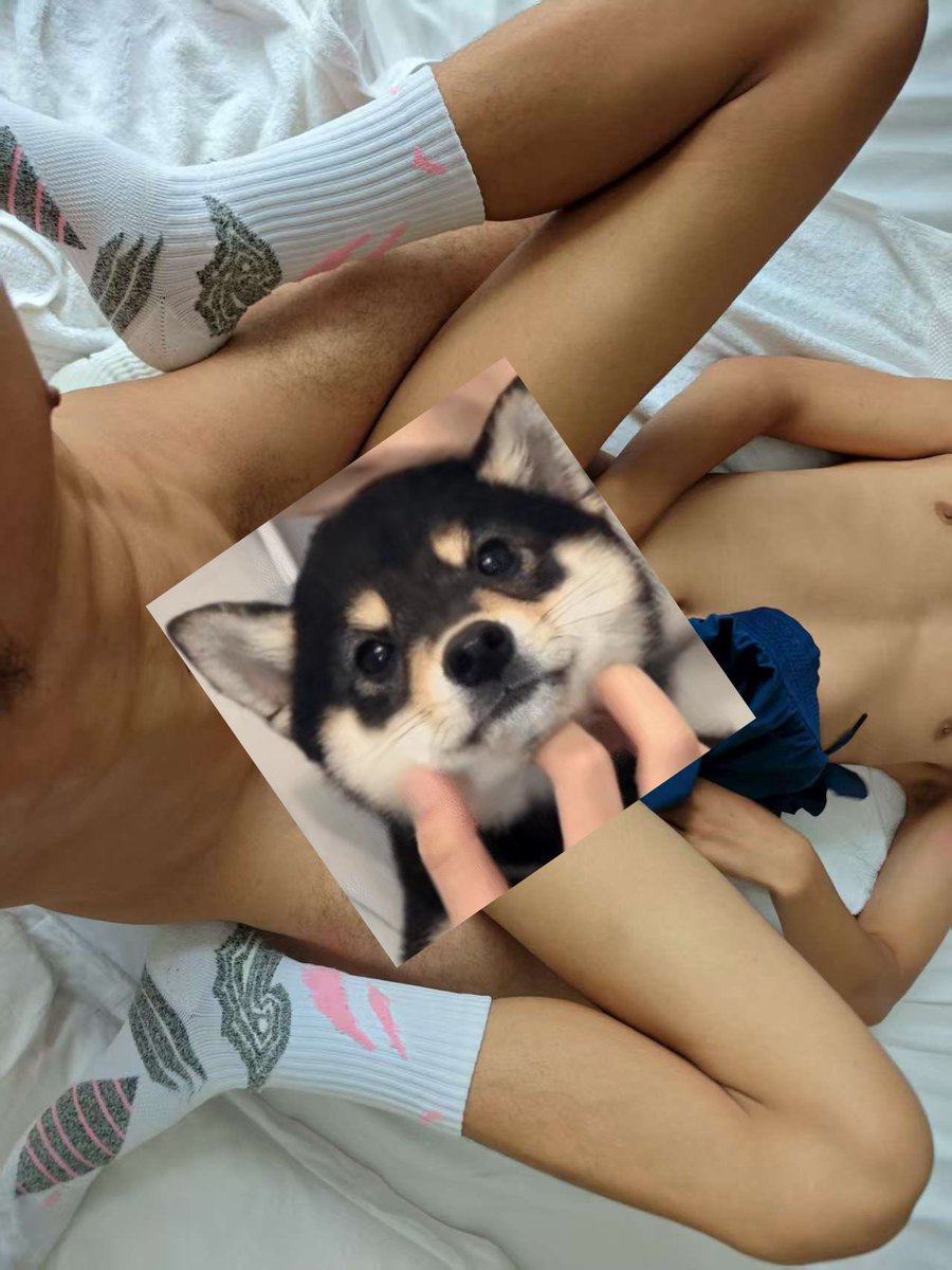 李泽（贵州） tweet media