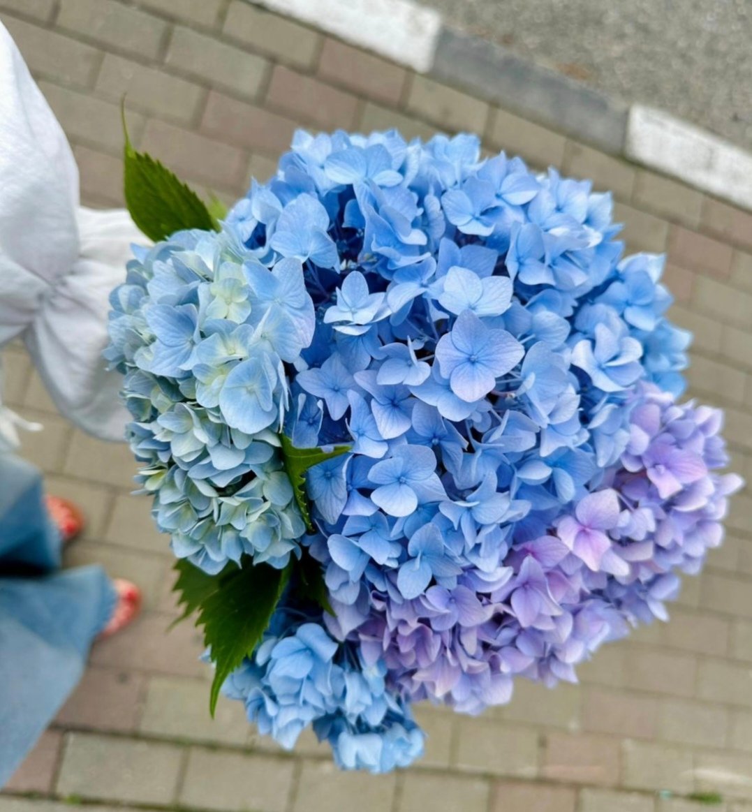 Моё вам доброе утро 🩵