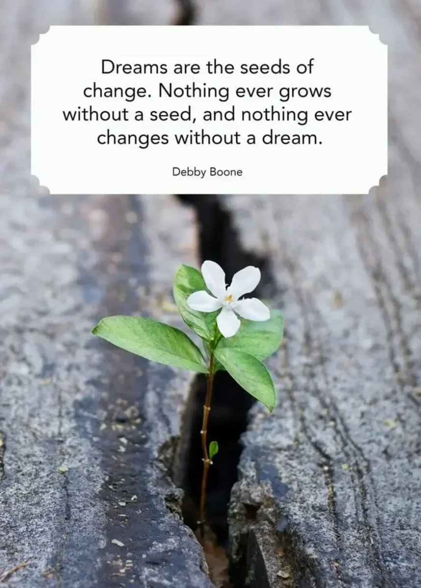 Nova21445's tweet image. I know that reading a book doesn&apos;t make you feel shocked, surprised, or angry. It&apos;s the kind of book that will refresh your mind and refresh your spirit throughout the day. #BookLovers #MindRefresh #SpiritRefresh