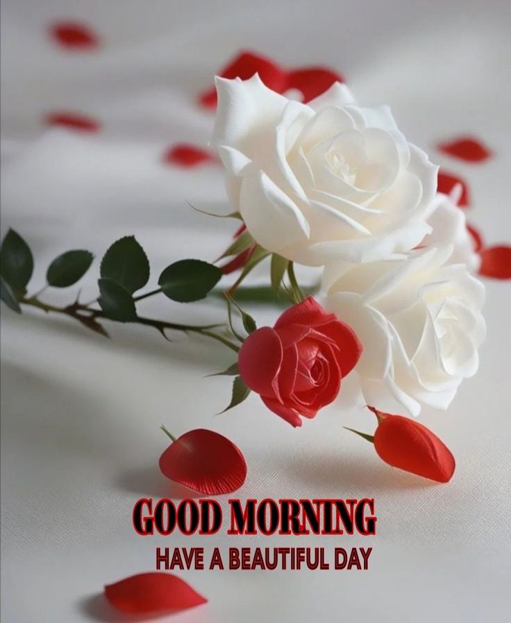 AmitKumar1945's tweet photo. @iMahiP007 https://t.co/iOvvzEYPjK