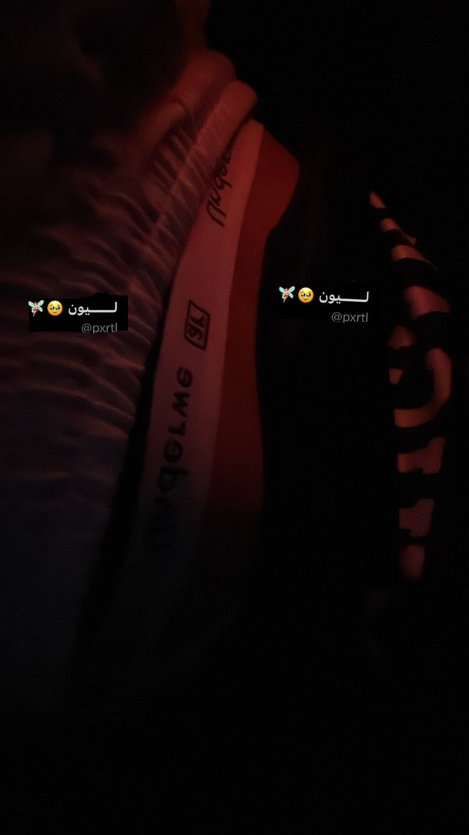 لـــــيون 🥹🧚🏻‍♀️. tweet media