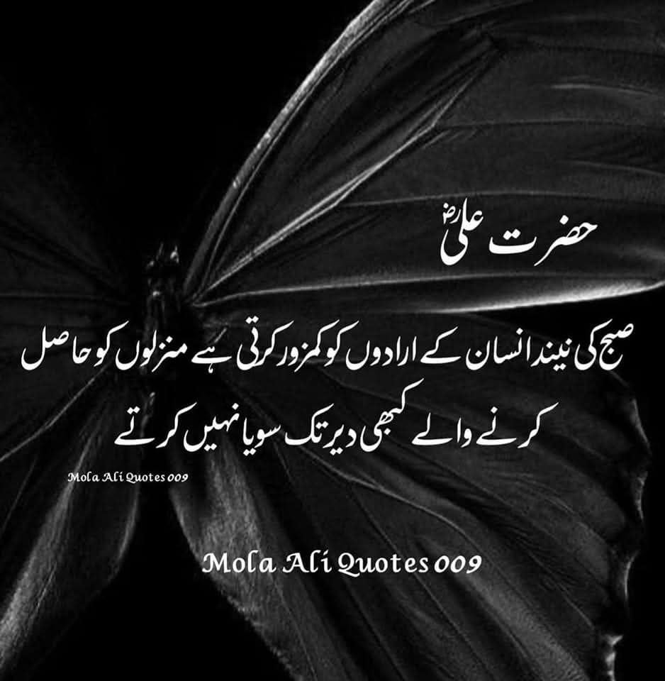 Muhamma57811656's tweet photo. https://t.co/bTbRKuvBMi