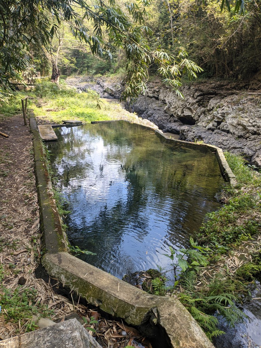 adeknya malang tweet media