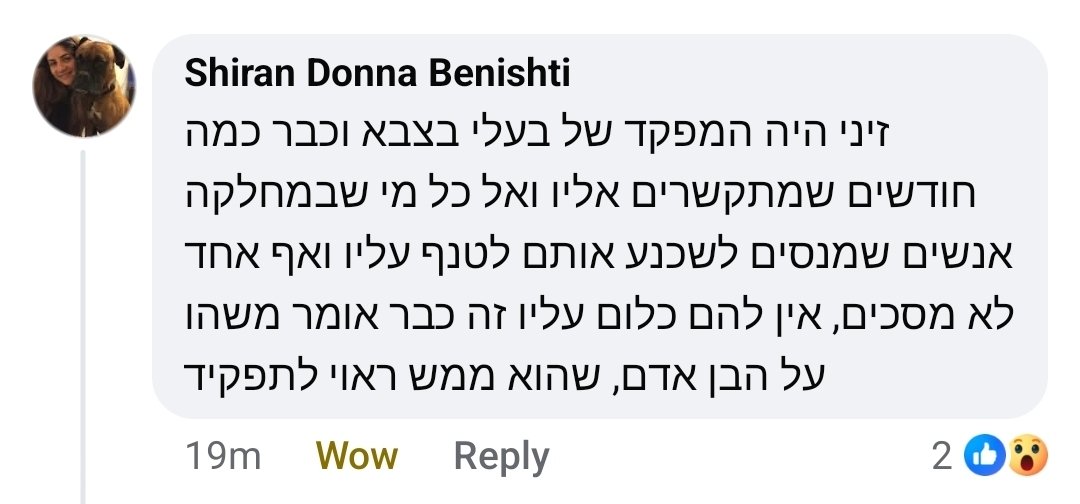 Amalia Ozer tweet media