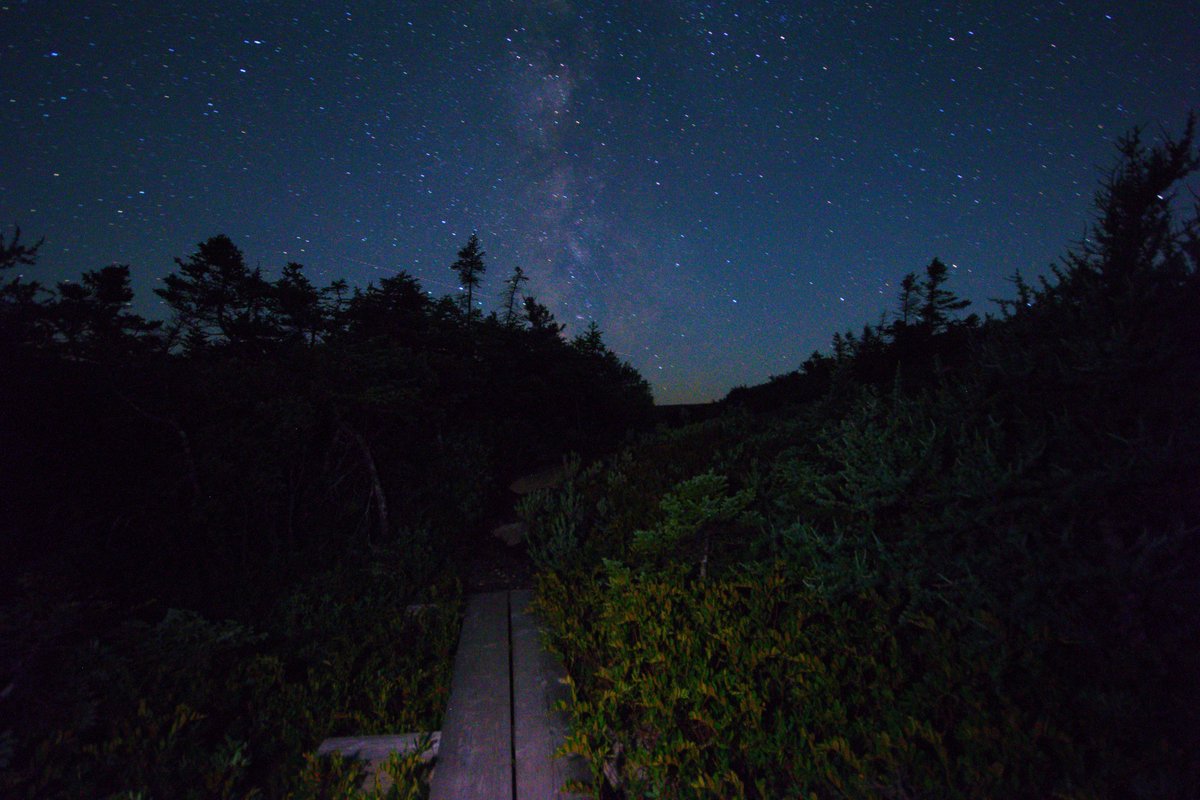 A nice clear, starry August night in Sandy Cove, Newfoundland. #sandycove #newfoundland #canada #explorecanada #explorenl #canonphotography #nightphotography #stars #milkyway