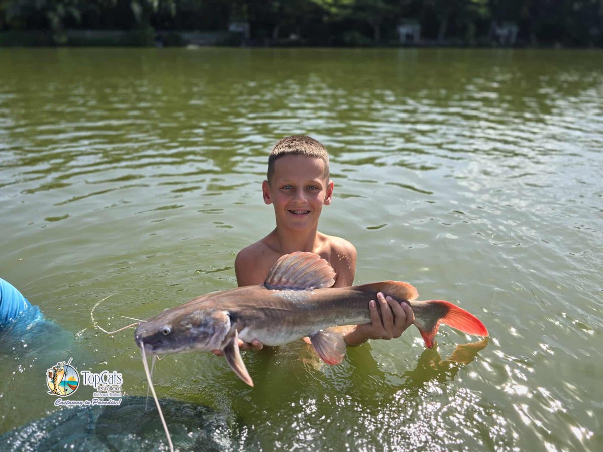 TopCatsThailand's tweet photo. One of the exciting species you’ll often see at #TopCats is the #AsianRedtailCatfish – a true favorite among anglers! Its speed, bursts of energy, and constant action, giving anglers plenty of excitement from start to finish. 🎣 https://t.co/0RjUF1b0Hg
