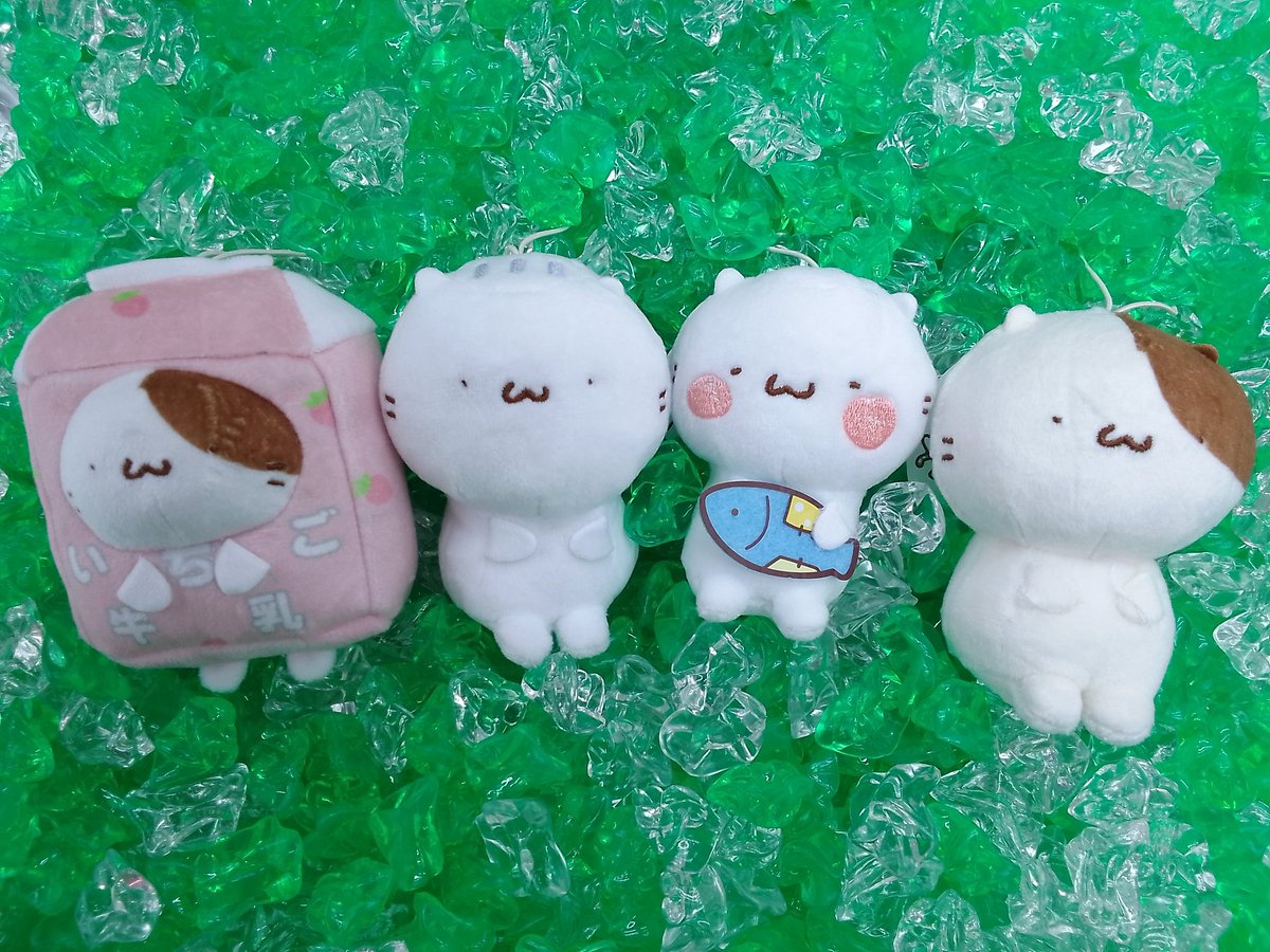 にゃんことにゃんた – търсене / X