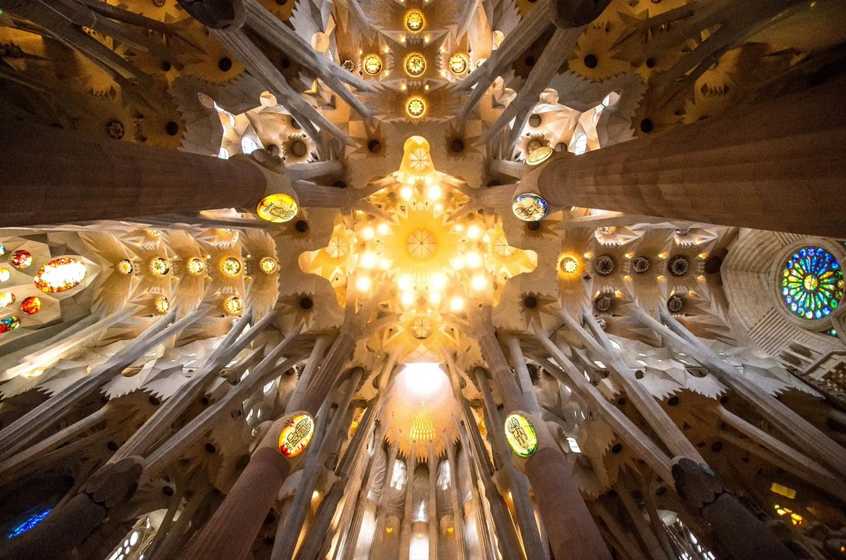 artinsociety's tweet photo. If you go to Gaudi’s Sagrada Familia basilica in Barcelona, and look up to the ceiling, this is what you’ll see (photo: David Ramos / Getty) https://t.co/sr1ppO6m5W https://t.co/woae0EXjJV