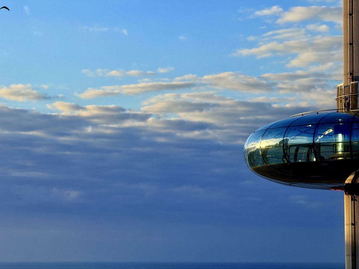 Sunrise reflected off the #Brighton #i360. #UsualSeagull