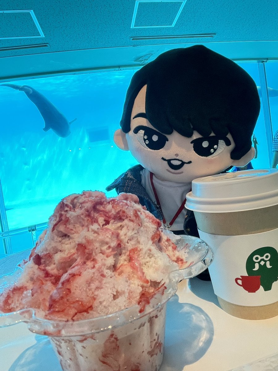 Sn_Rose_M's tweet photo. ぬいだてさんと水族館行ってきました🐬 https://t.co/4qrXqqSo2j