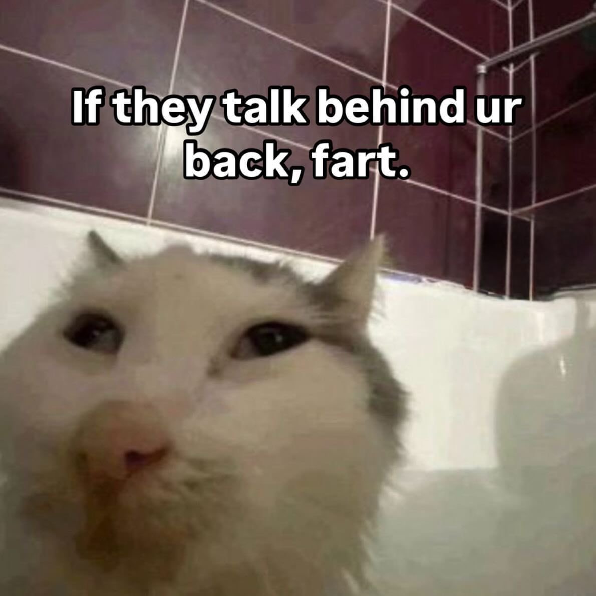 Huihuihuihuihui aur phir bhaag jao