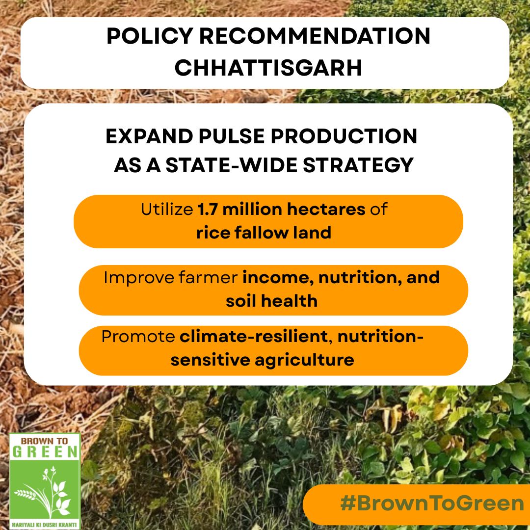 #BrownToGreen   We urge the Govt. of  Chhattisgarh to launch a Mission Mode “Fallow Land Utilization Program” focusing on tribal &amp; marginal farmers. Productive use of rice-fallow lands can boost food security, incomes &amp; sustainability.  #BrownToGreen