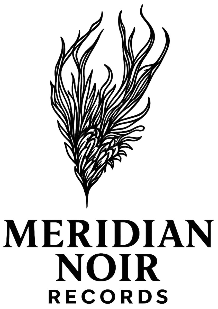 **"Big news: together with Albin Wagener, we’ve launched our own dark music label — Meridian Noir Records.

First release drops end of September. Pre-orders soon.

The dark journey begins… 🖤 Stay tuned."** #independentlabel #darkwave #newmusic