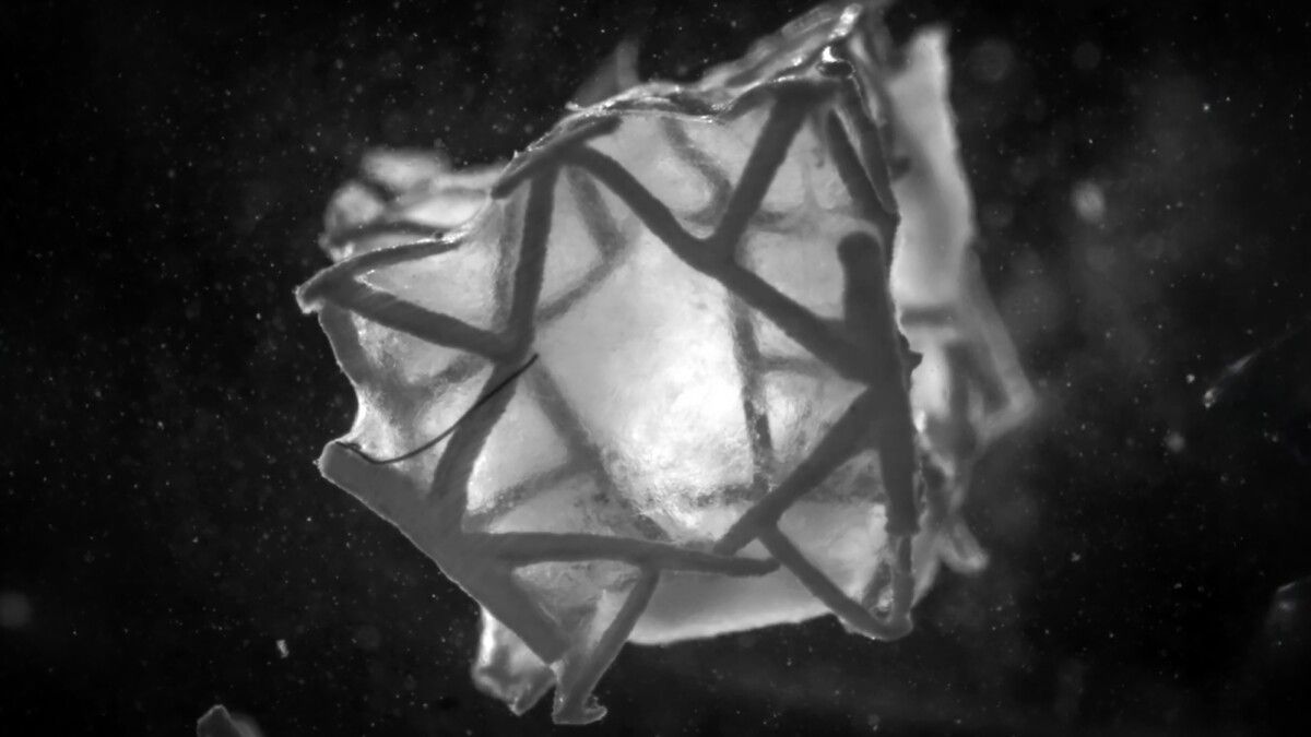 nwtls's tweet image. A team of researchers have developed a 3D-printed, biodegradable heart patch that seals holes in heart tissue and supports tissue regeneration, showing promise as a safer alternative to current surgical materials.

newatlas.com/medical-tech/3…

#HeartPatch #TissueRegeneration