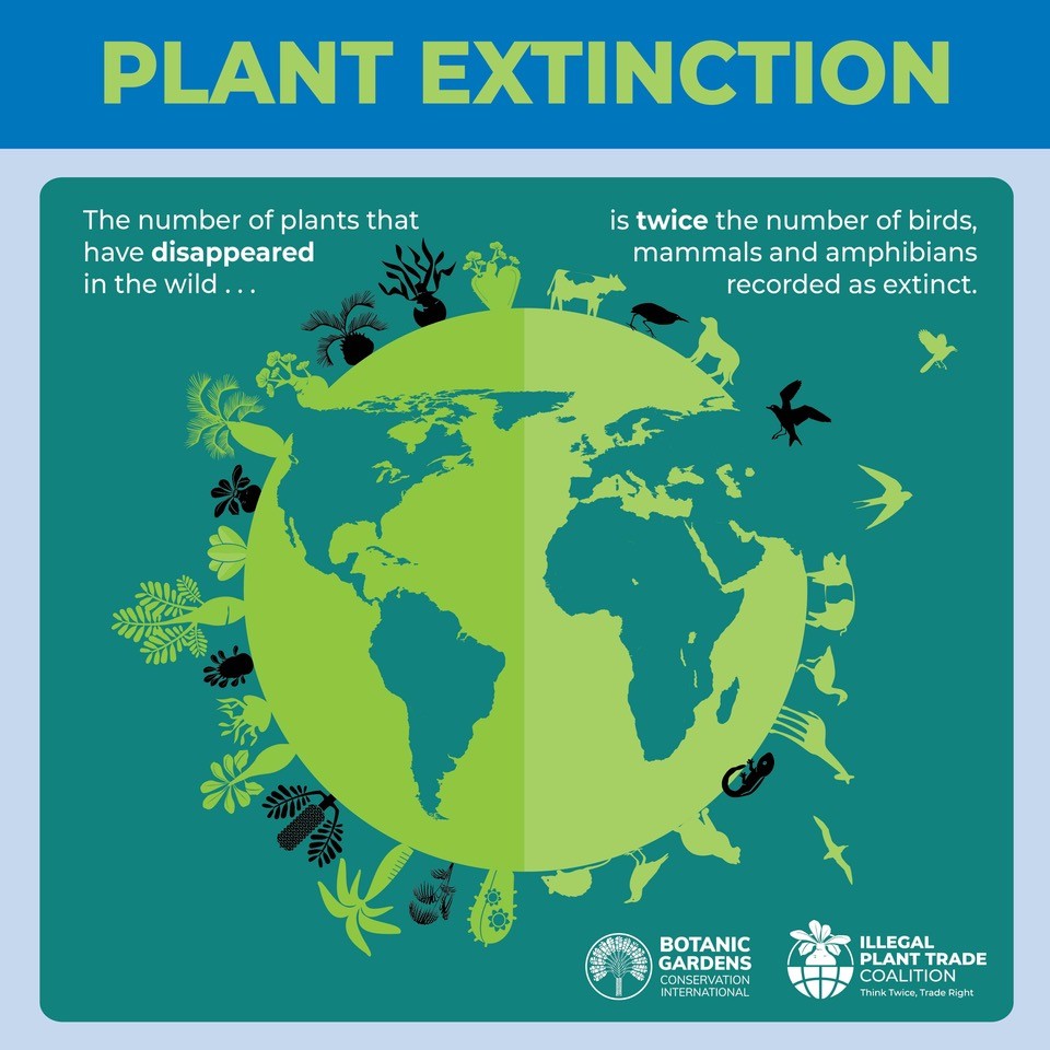 SA Biodiversity tweet media