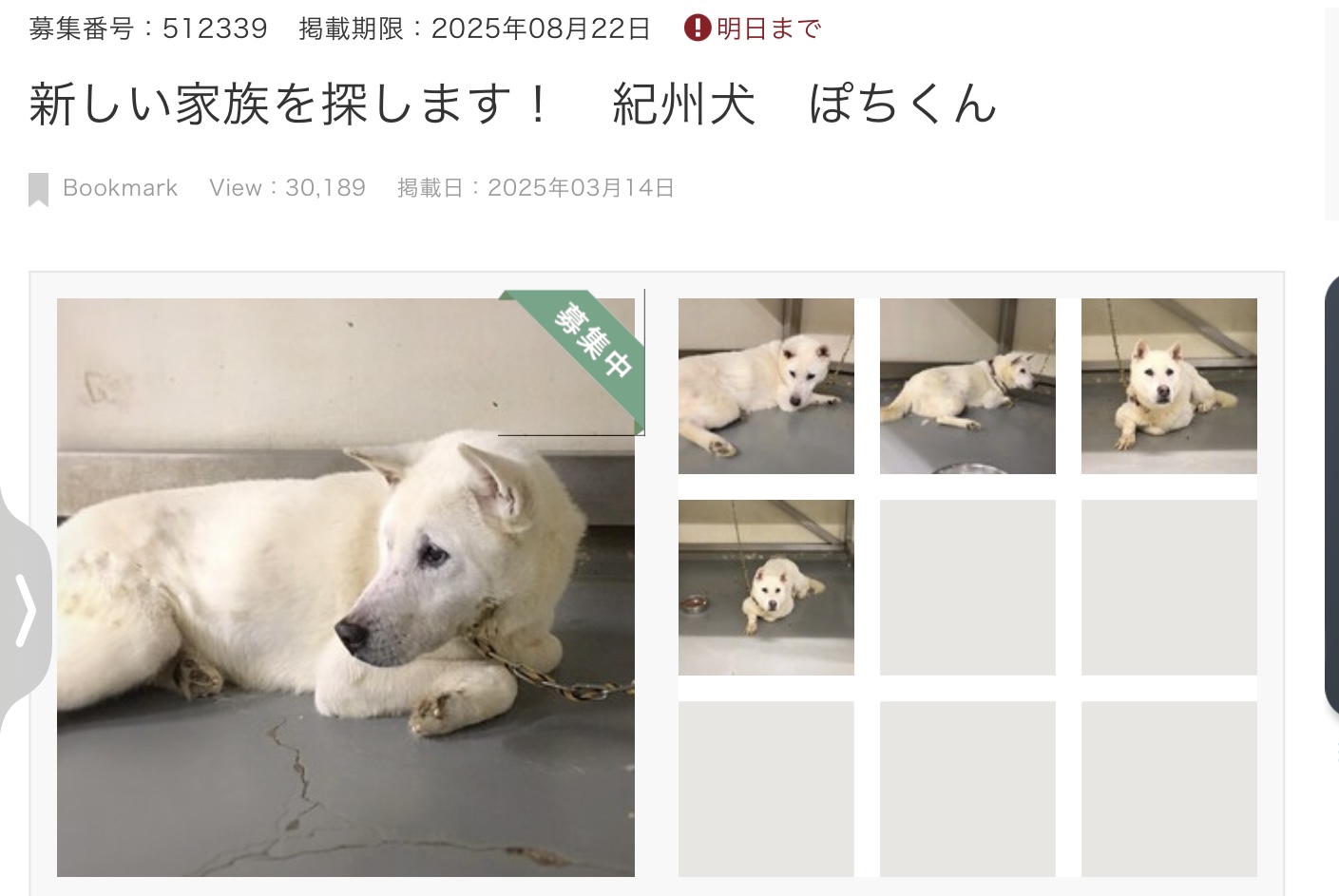 クマネコ親子ページ！ 過保護すぎる先住猫にたじたじな子猫w - YouTube
