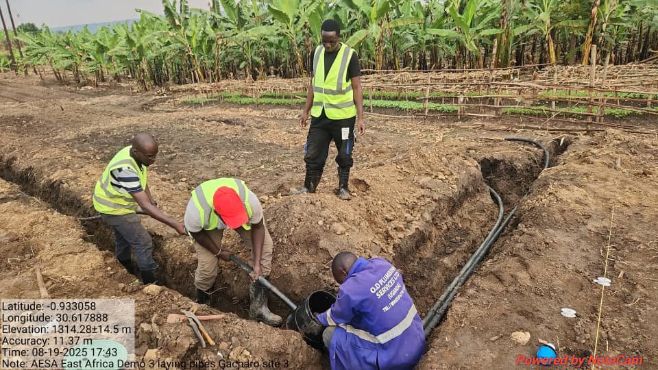 AESAEALtd's tweet photo. Installation of irrigation systems is ongoing at 3 demo sites in Kabuyanda.

Our team is completing pipe work before installing pump, solar panels to make sites functional with water flowing.

Another geotechnical report needed on site 4 to review soil suitability. @ICRP_Uganda https://t.co/XQW2PQZvVX