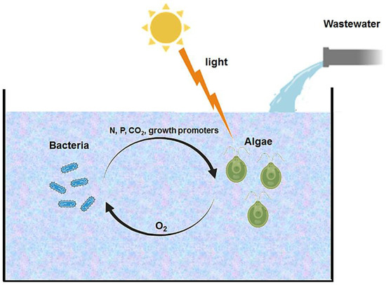 Resources MDPI (@resources_mdpi) on Twitter photo 🥳 Highly cited article;
"Current Insights into Growing Microalgae for Municipal Wastewater Treatment and Biomass Generation" by Ilyes Dammak et al.
<a href="/Univ_Sfax/">Université de Sfax</a>
📷 Read more: brnw.ch/21wV4Th 🥳 Highly cited article;
"Current Insights into Growing Microalgae for Municipal Wastewater Treatment and Biomass Generation" by Ilyes Dammak et al.
<a href="/Univ_Sfax/">Université de Sfax</a>
📷 Read more: brnw.ch/21wV4Th