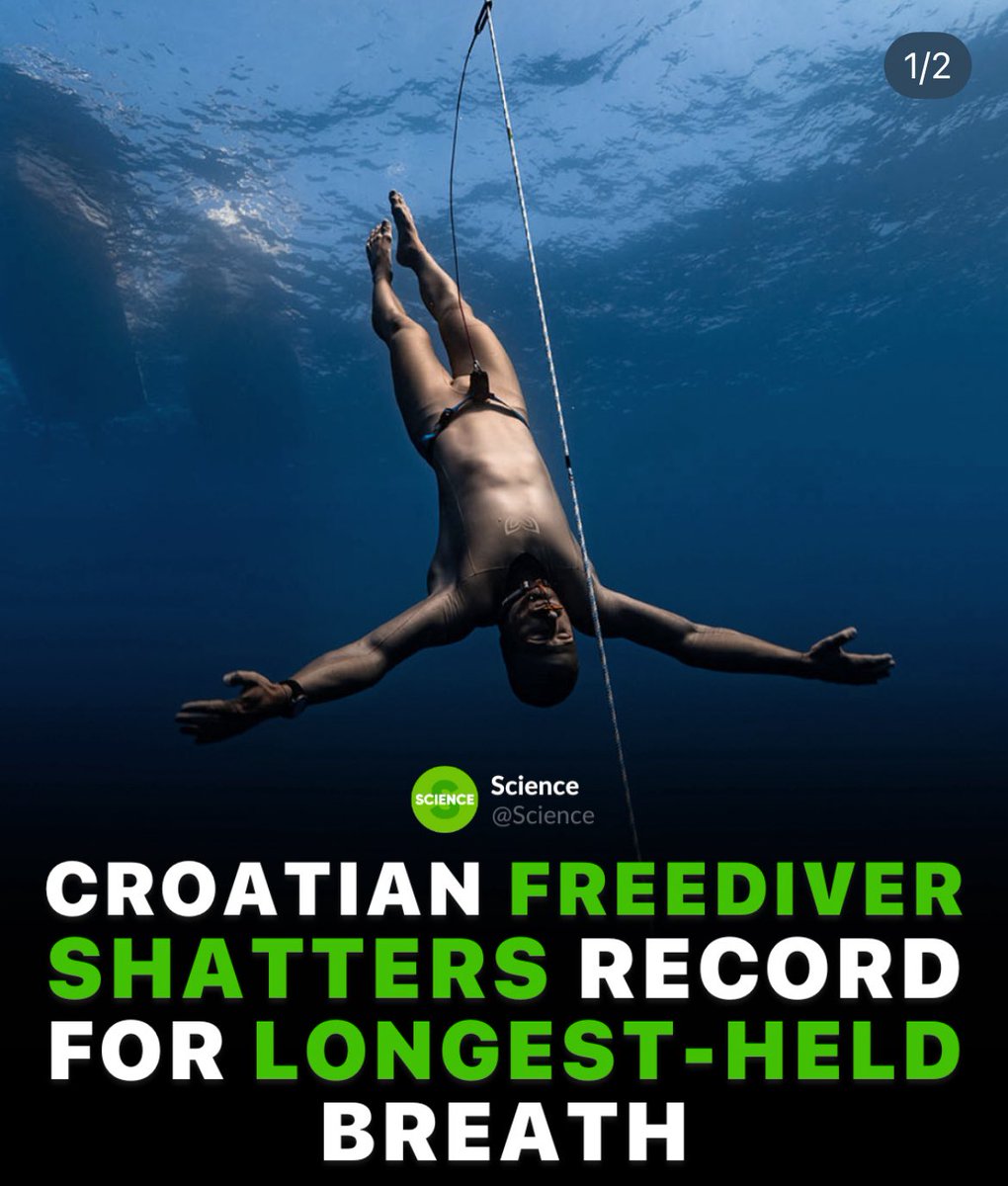 🃏Max🃏 tweet media