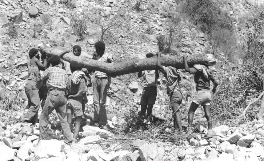 ትሕት ኢልና ንበርኽ
ሚርያም ዮሴፍ

ሓደ መንእሰይ፡ ኣብ ወጻኢ ሃገር ናይ ድሕረ-ምረቓ ትምህርቲ ክከታተል ድሕሪ ምጽናሕ፡ ትምህርቱ ዛዚሙ፡ ናብቲ ዝሰርሓሉ ዝነበረ ትካል ተመልሰ። ምስቶም ኣብቲ ትካል ንነዊሕ ዓመት ዝሰርሑ ገዳይም ሰራሕተኛታት ድማ