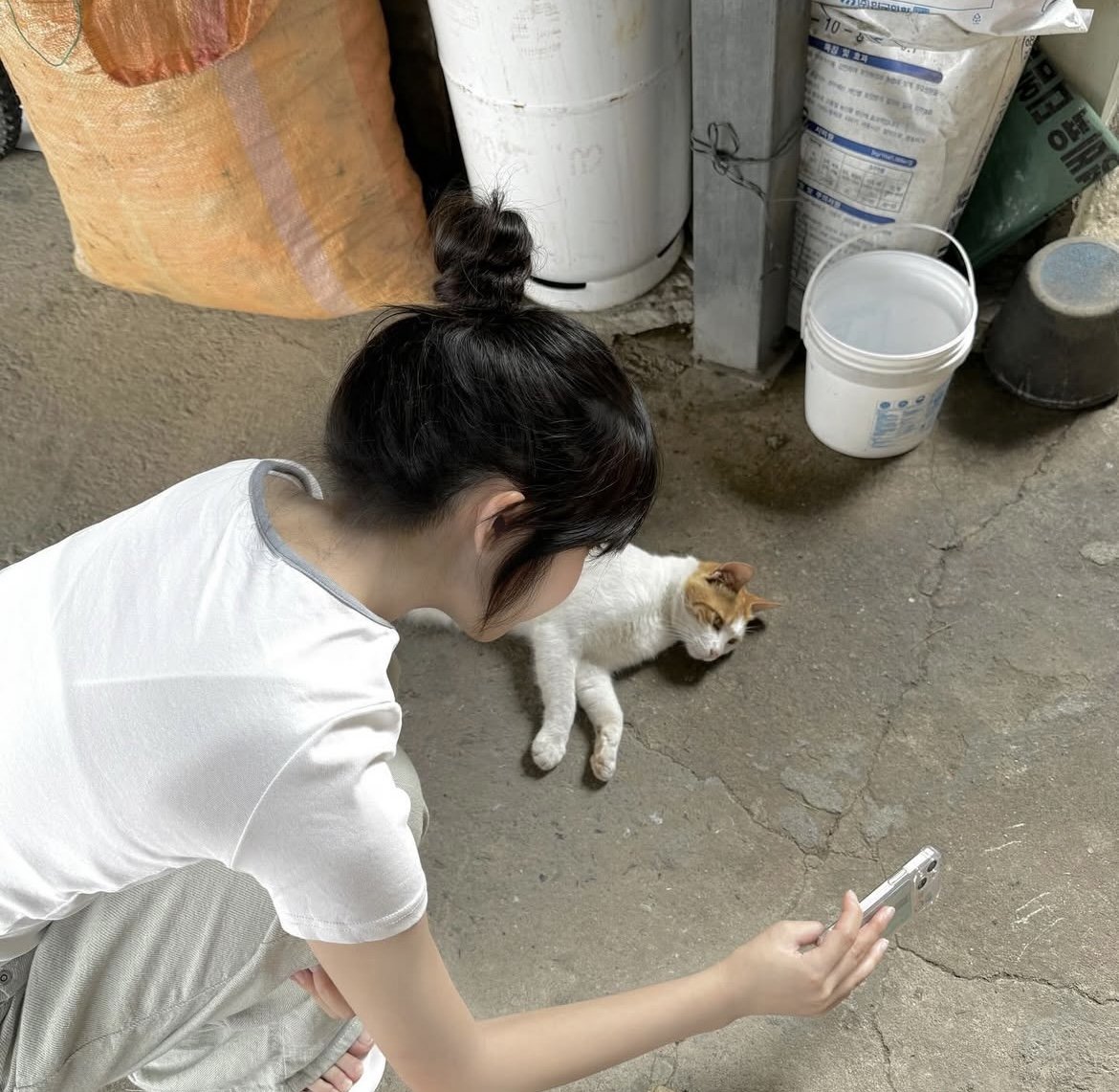 #아산 #온양동 못본새 살이 빠졋어~