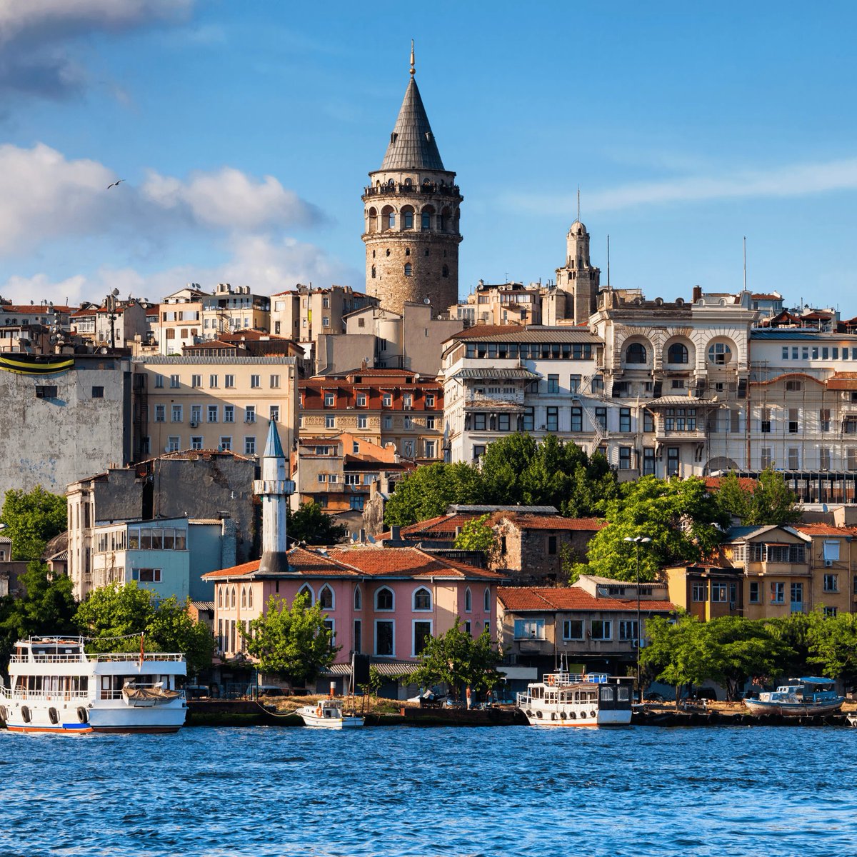 bosunatiklama's tweet photo. SON DAKİKA | İstanbul Valiliği, başıboş hayvanların acil olarak toplanması için talimat verdi. https://t.co/P9dgpnn5R2