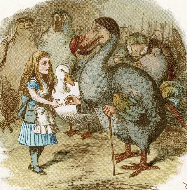 Alice &amp; the Dodo from Alice’s Adventures in Wonderland as illustrated by John Tenniel in 1865. The dodo was a flightless bird found on the tropical island of Mauritius but sadly hunted to extinction by sailors  arriving there by the mid C17th. #BookologyThursday #BookChatWeekly