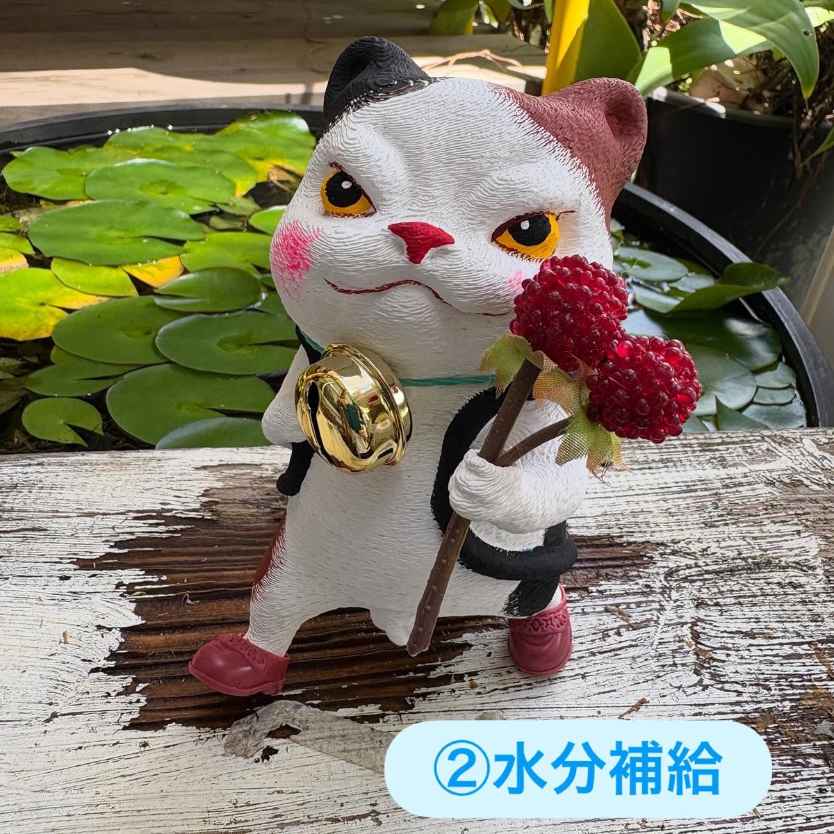 vivomad's tweet photo. 夏を楽しむ天才は帽子をかぶって
水分しっかり補給する子
だよ
あ、あと靴履こうね
#秘密結社猫之目
@nekonome_himitsu
#旅するkocka #batoh #リュックサック
#靴を履いた猫 #Catinshoes https://t.co/a89UG4BQvl