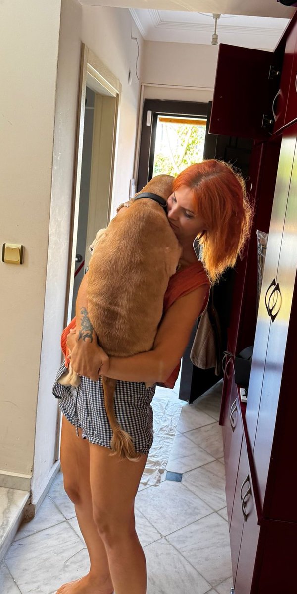 ee yok mu bu dev sosis Bella’yı isteyen?