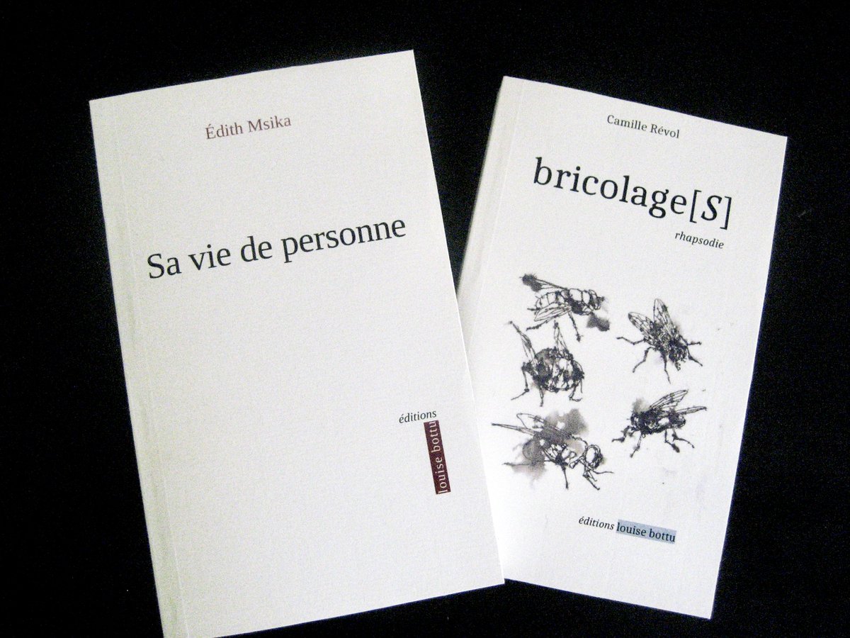 LA RENTRÉE DE LOUISE BOTTU I
On peut faire tout ça sur 
louisebottu.com
1. consulter le catalogue et découvrir "bricolage[S]" de Camille Révol et "Sa vie de personne" d'Édith Msika
2. lire l'argumentaire
3. lire les premières pages
4. les commander (envoi rapide fdp)
